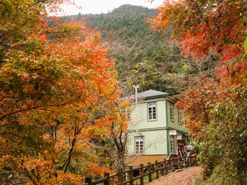 払沢の滝エリア